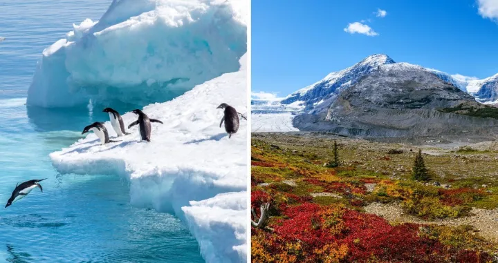 Antarktik nije uvijek bio ledena pustinja/