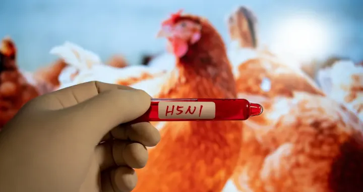 H5N1 Science Alert/