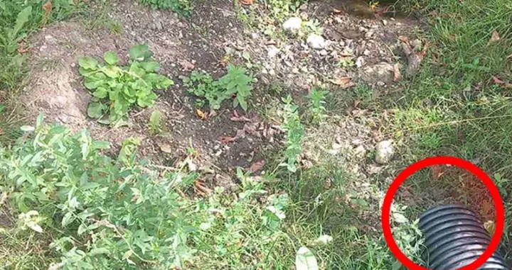 Objavljene fotografije/Sokolac - srce Romanije/