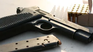 Navodi se da je u BiH ukupno 1.185.000 komada oružja/ Ilustracija/ Canva/