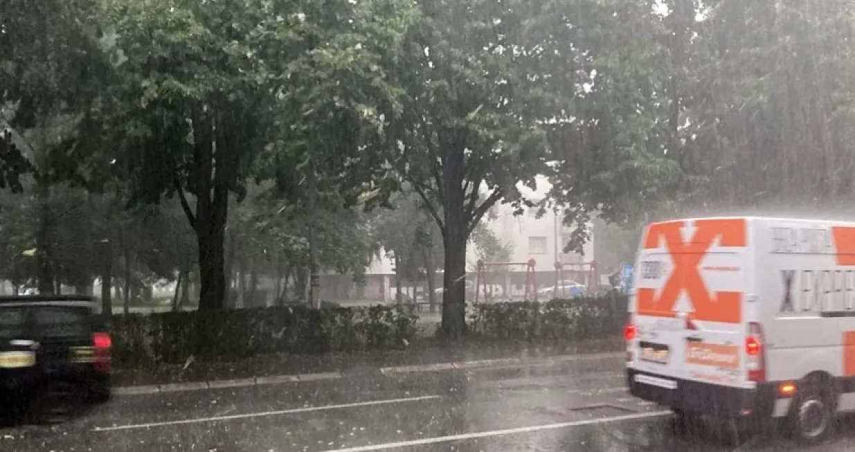 Bilo je i leda/Ilustracija/