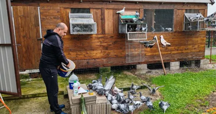 Jasmin Skalić sa golubovima/Fena/