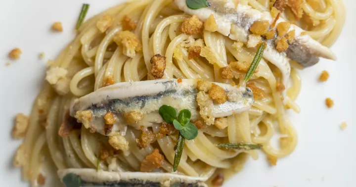 tjestenina inćuni/Bembodesign