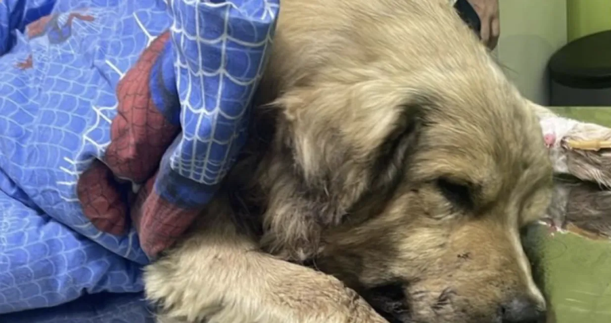 Medo je zauvijek sklopio okice.../