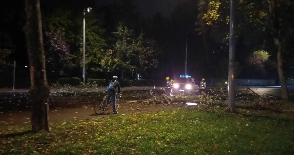 Za dlaku izbjegnuta tragedija u Sarajevu: Stablo palo na saobraćajnicu, na terenu policija i vatrogasci/