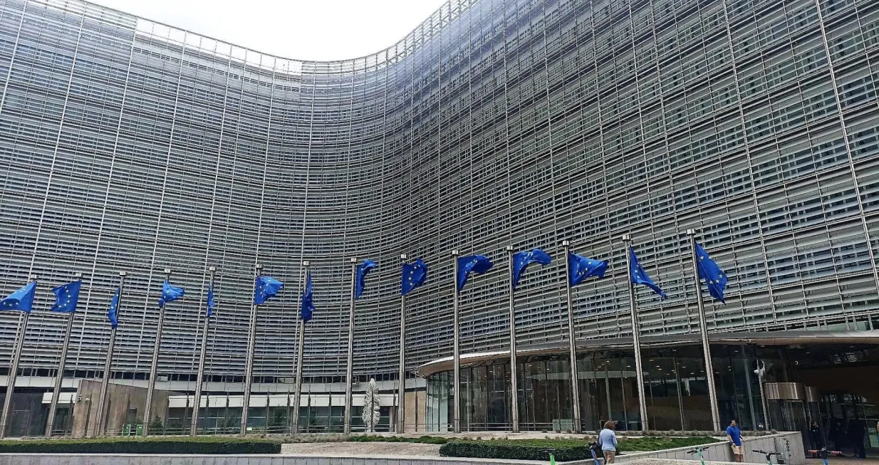 Bh. delegacija se nema čime pohvaliti u Bruxellesu/Kenan Ćosić/