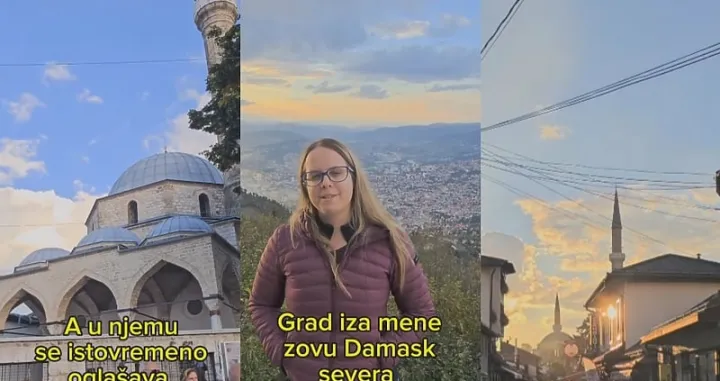 Novinarka i influenserka Nina Gavrilović/