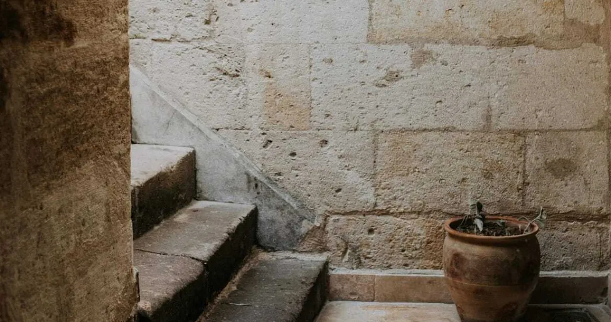 Neki kreativni lopovi/ Ilustracija/ Pexels/