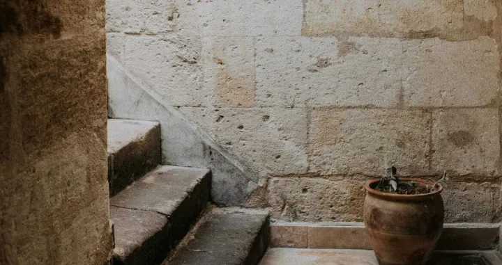 Neki kreativni lopovi/ Ilustracija/ Pexels/