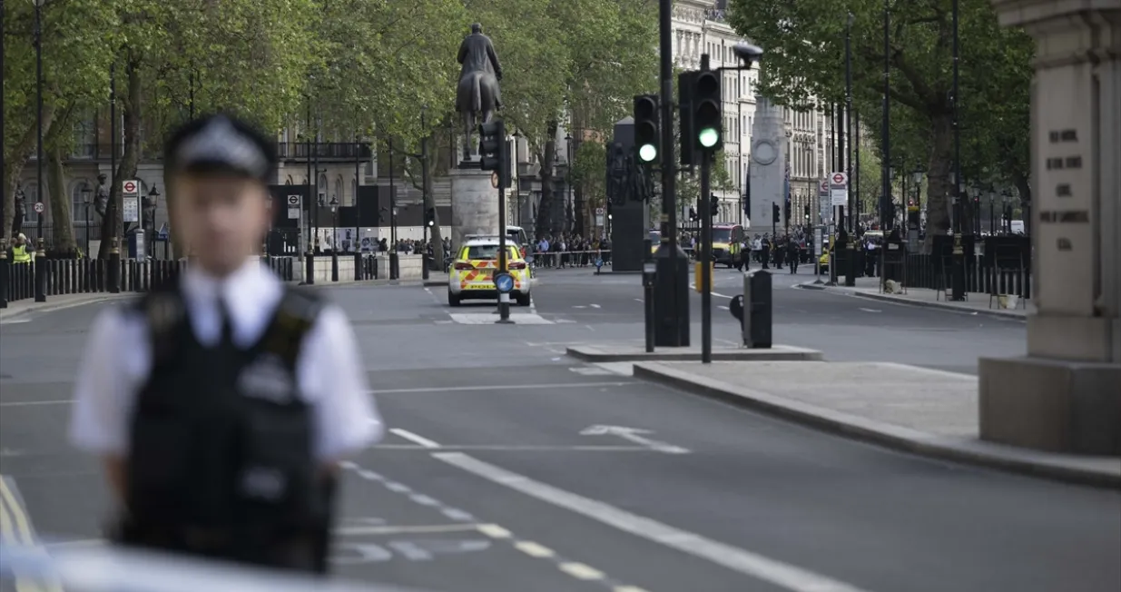 Muškarac se zabio autom u kapije Downing Streeta, London (Engleska, Velika Britanija)/Anadolija