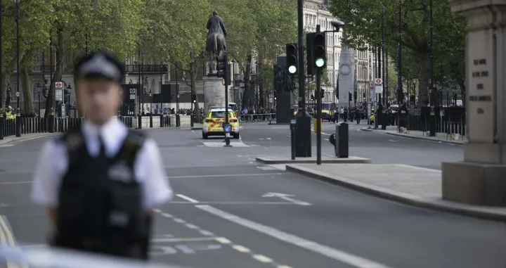 Muškarac se zabio autom u kapije Downing Streeta, London (Engleska, Velika Britanija)/Anadolija