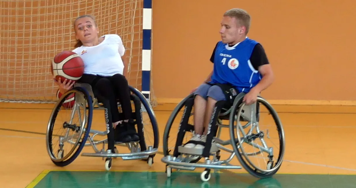 Ko&scaron;arka u kolicima