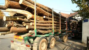 Prevrnuo se kamion sa trupcima/