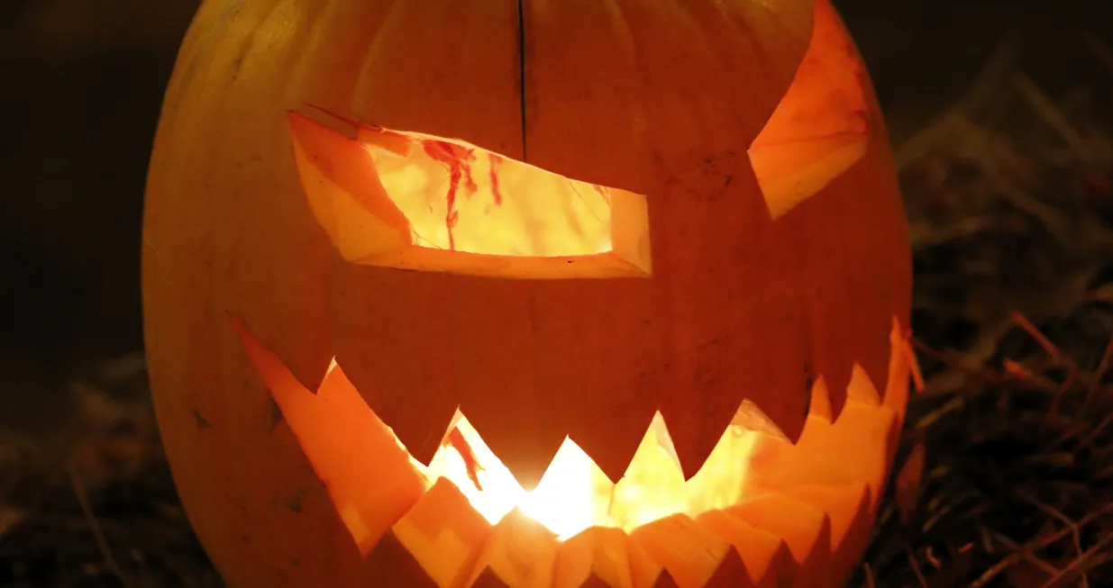 epa10274428 A jack-o'-lantern is lit up at the Halloween Horror Park in Bauska, Latvia, 29 October 2022. More than 500 attractions worthy of Hollywood horror films are exhibited to visitors from 18 October to 05 November. EPA/TOMS KALNINS/Toms Kalnins