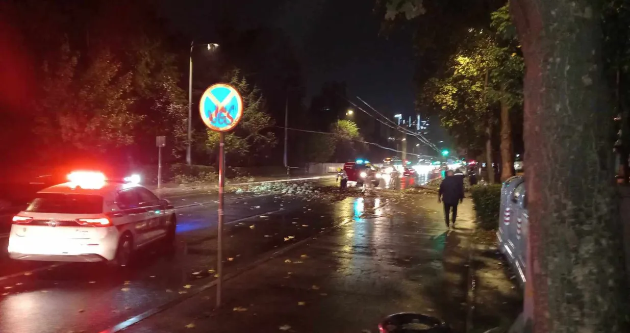 Za dlaku izbjegnuta tragedija u Sarajevu: Stablo palo na saobraćajnicu, na terenu policija i vatrogasci/