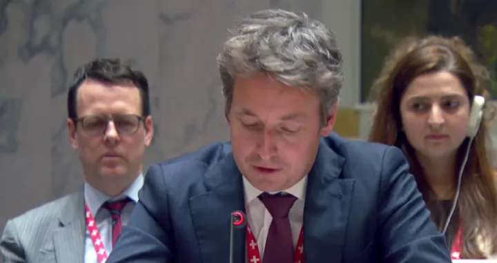 Predstavnik &Scaron;vicarske, Vijeće sigurnosti UN-a/