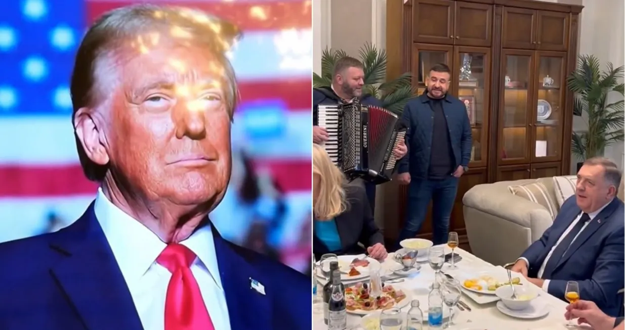 donald i harmonika/Almir Sarenkapa