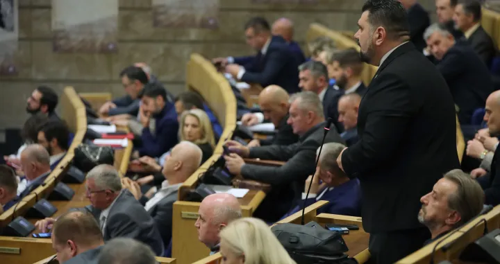 Predstavnički dom Parlamenta FBih mart 2024/Senad Gubelić
