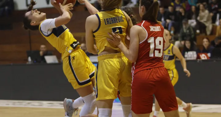 Bosna i Hercegovina - &Scaron;vicarska, ko&scaron;arka 