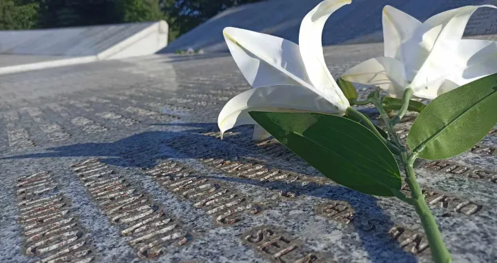 29. godišnjica genocida u Srebrenici/Almir Šarenkapa