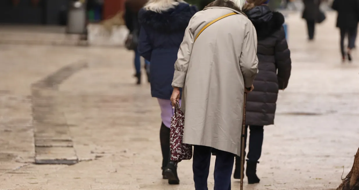 Stari, penzioner, penzioneri/Senad Gubelić