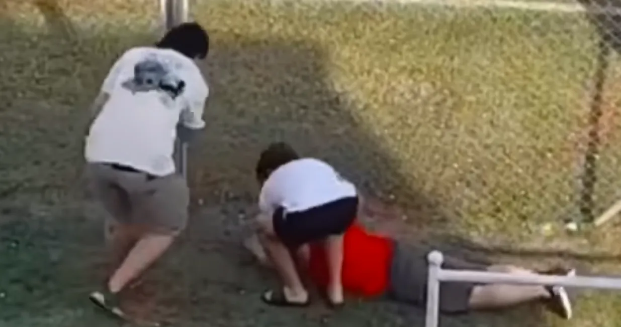 Navijači u bijegu od pčela