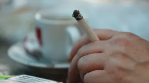 Zakon pušenje cigarete/Senad Gubelić