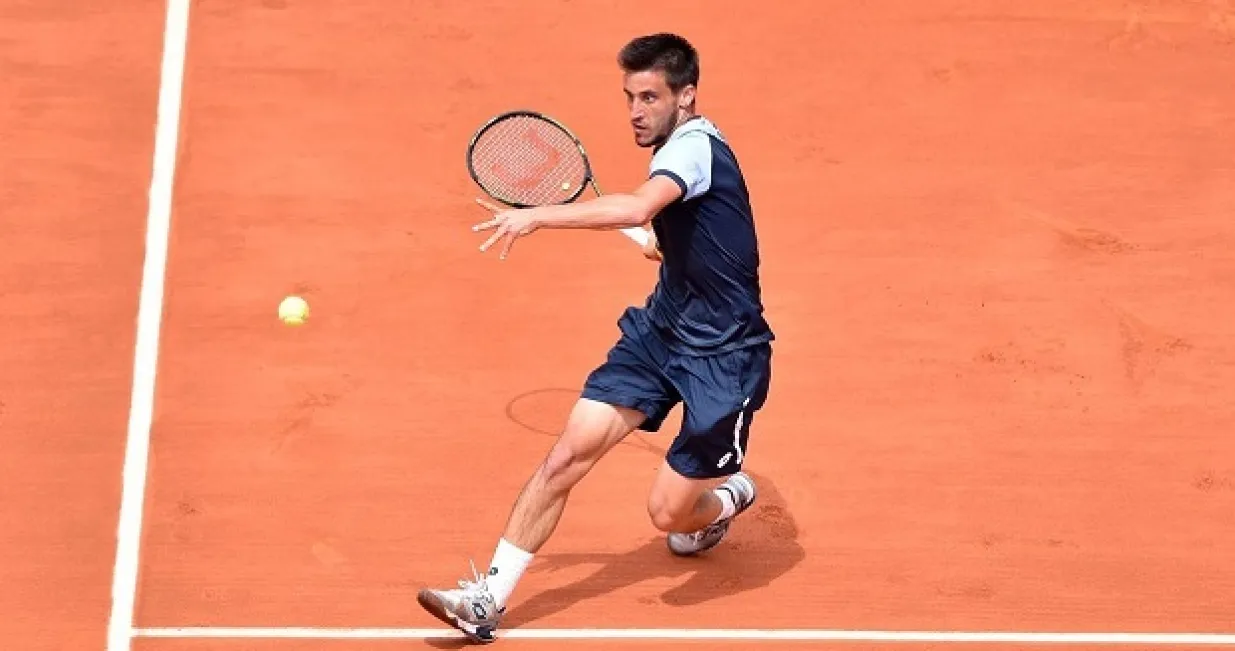 damir dzumhur