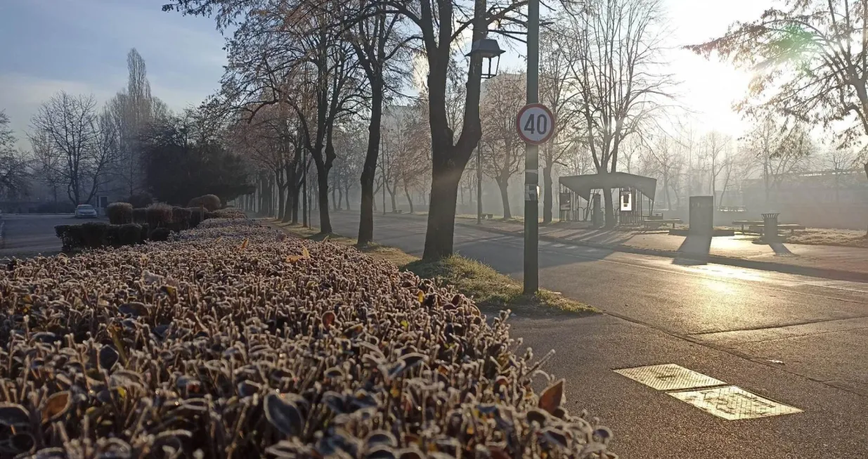 / Oslobođenje/