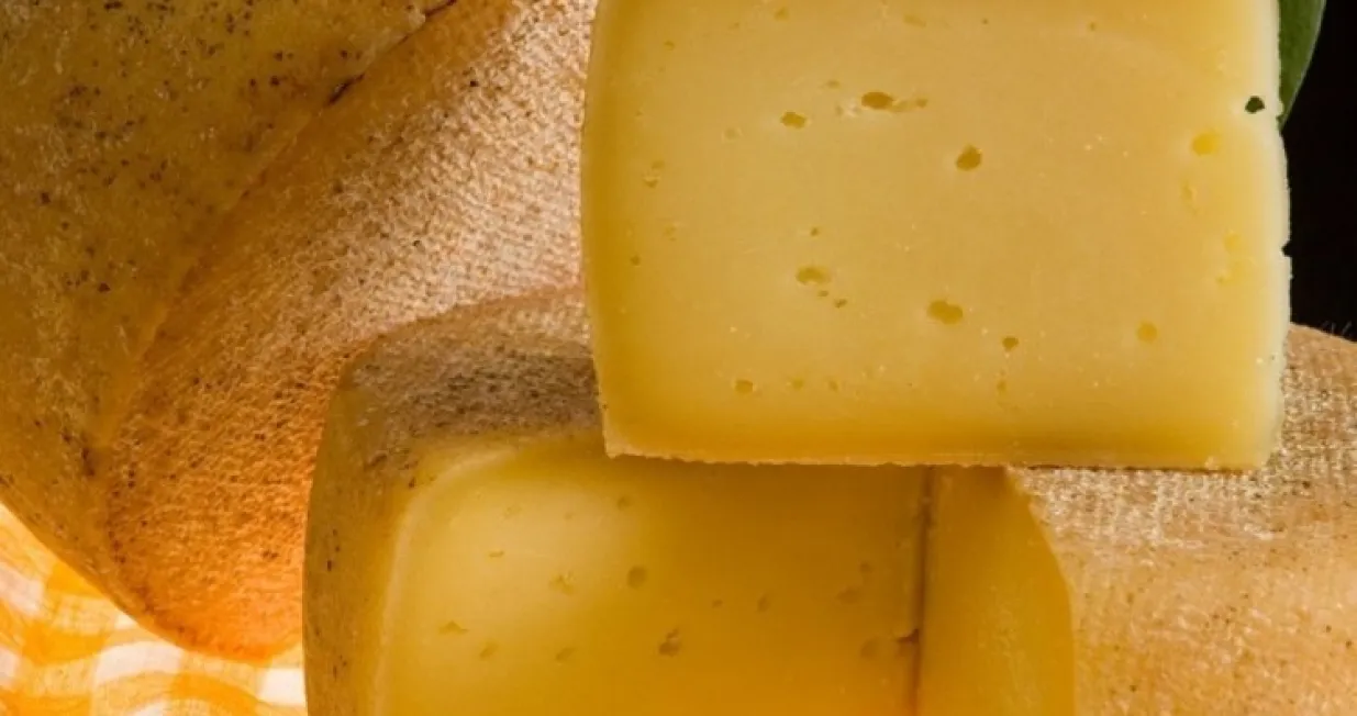 Livanjski sir (antre 2)/