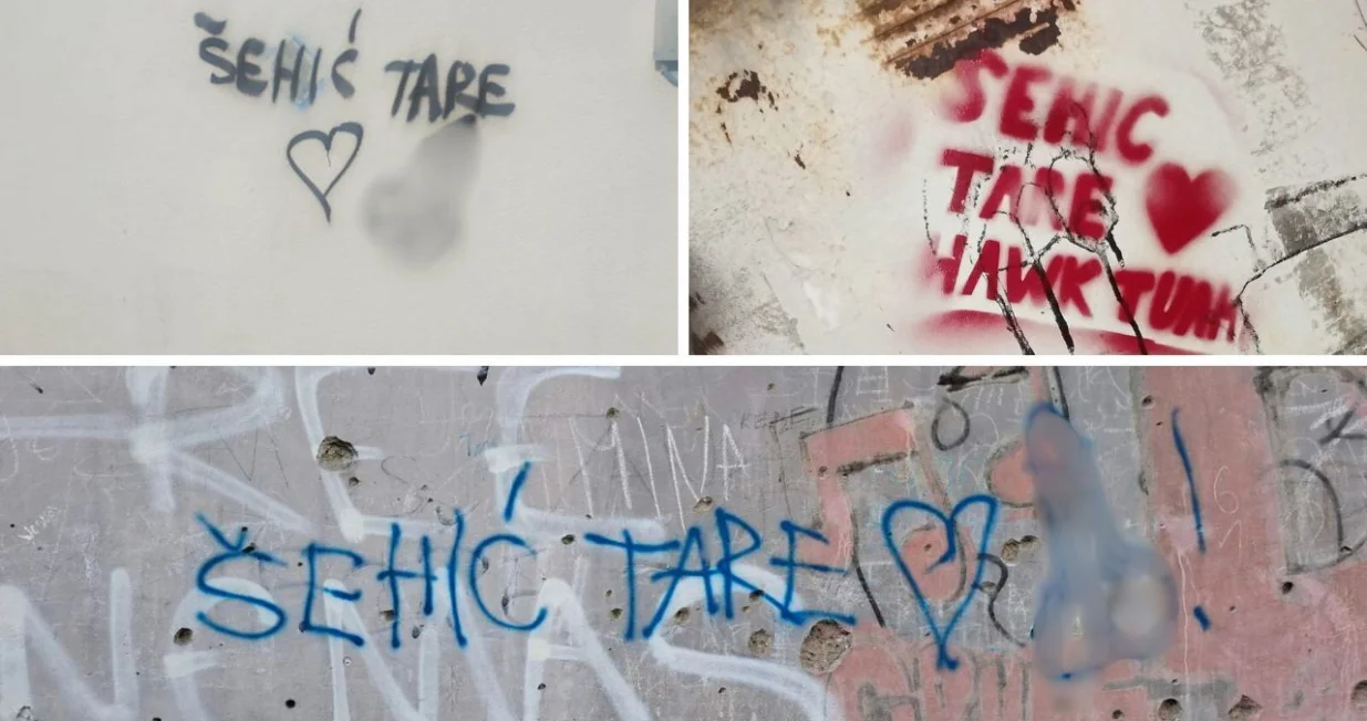 Išarao je doslovno cijelo Sarajevo a i druge gradove/ Fotografiju ustupio Tarik Šehić, Kolaž: Oslobođenje/