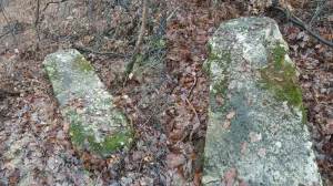 Kraljev stećak Miljevići, Sarajevo/