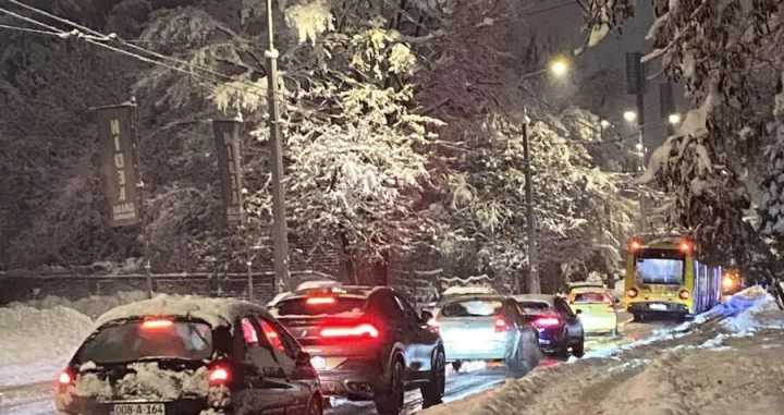 Sarajevo, snijeg, stablo palo na kontaktnu trolejbusnu mrežu/N1