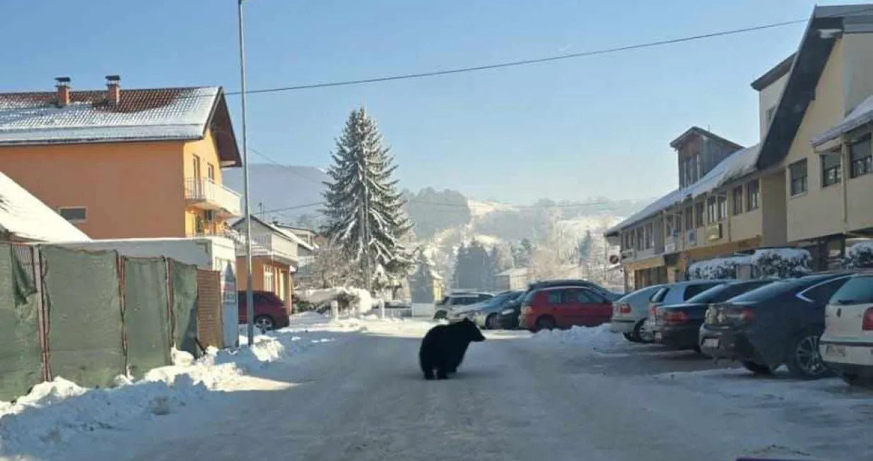 / Čitatelj Oslobođenja/Čitatelj Oslobođenja 