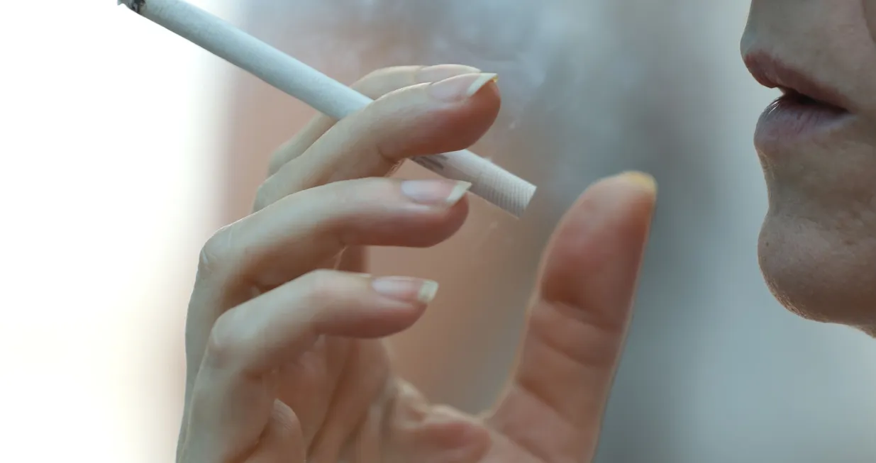 Zakon pušenje cigarete/Senad Gubelić