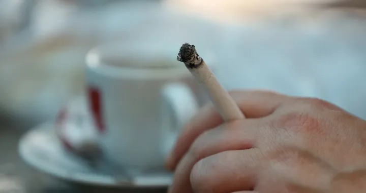 Zakon pušenje cigarete/Senad Gubelić