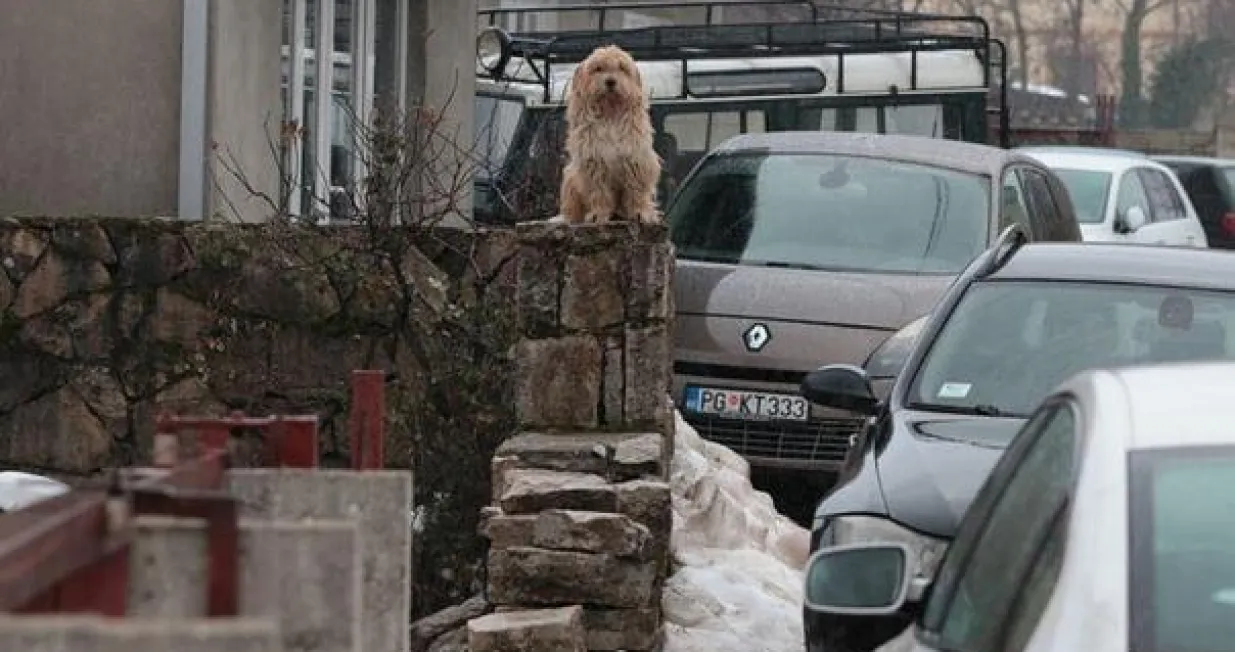 sahrana dječaka na Cetinju/