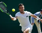 damir dzumhur/