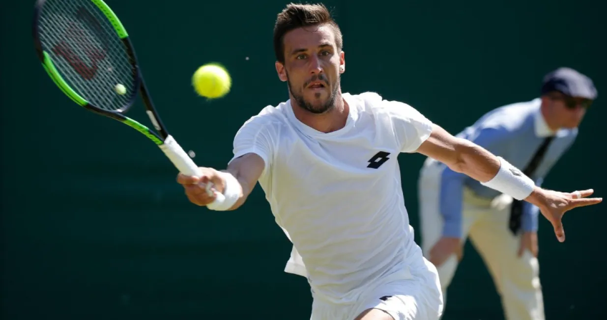 damir dzumhur/