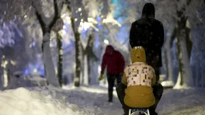 Snijeg po Vilsonovom/Damir Deljo