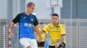 Davor Arnautović Linz