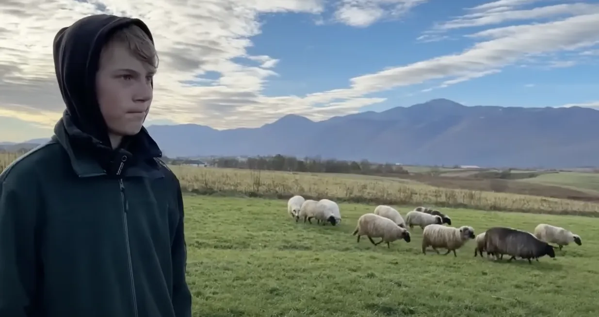 Almin Škrgić i njegove ovce/Krajina Tv