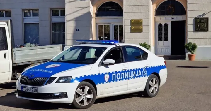 U toku pretresi/Srna//