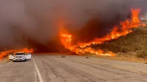 Vatra guta sve pred sobom/Screenshot/