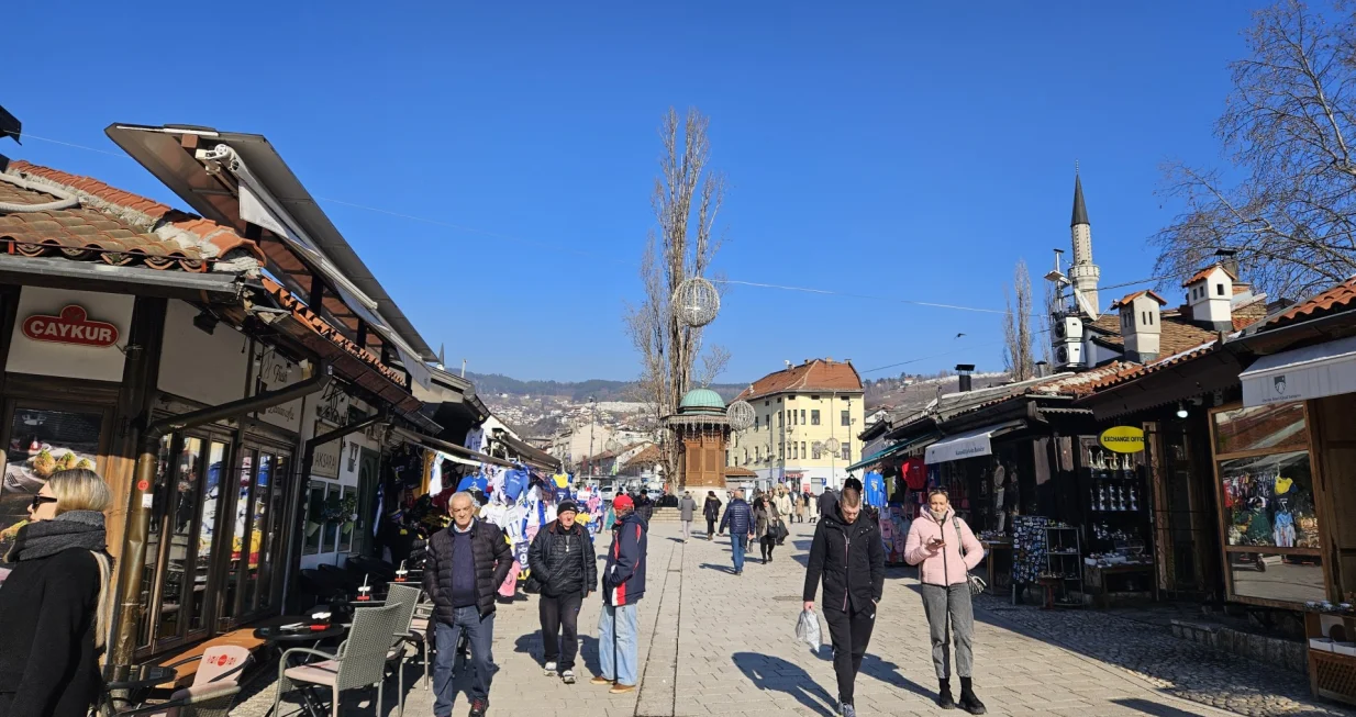 zima sunce/Lejla Sofradžija