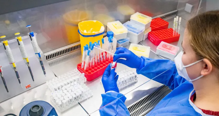 epa09708623 A molecular geneticist in protective clothing prepares a test for SARS-CoV-2 coronavirus which causes the COVID-19 disease, in a laboratory in the Rhineland Region, Germany, 25 January 2022. Certain groups of people in Germany will soon be prioritized for COVID-19 PCR testing, such as for the elderly, pre-diseased and healthcare workers. According to German Health Minister Lauterbach, the capacity of PCR tests is exhausted and the laboratories allocated for evaluation are also working to capacity. Therefore, it was decided to prioritize the PCR tests. EPA/SASCHA STEINBACH/Sascha Steinbach