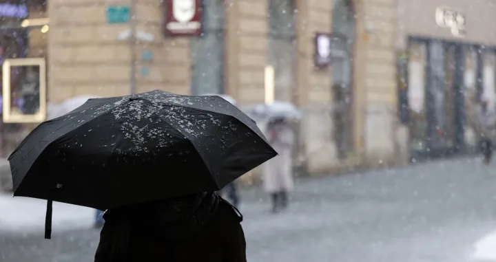 Snijeg ilustracije/Damir Deljo