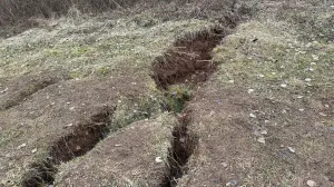 Stanje na lokalitetu Curine njive/Edin Barimac