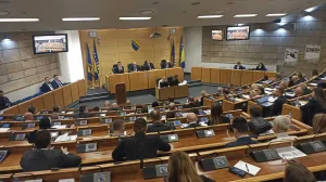 Dom naroda PFBiH, Parlament FBiH, sjednica/Senad Gubelić