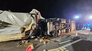 Nesreća u Austriji, vozač iz BiH u kamionu prevozio 20 tona ribe//